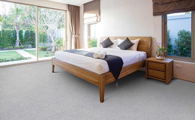 Large bedroom with light grey carpet