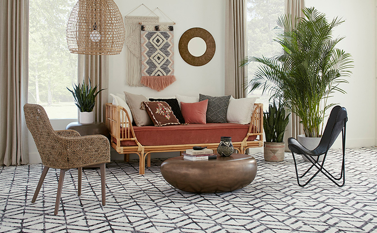 Modern living room with carpeted flooring